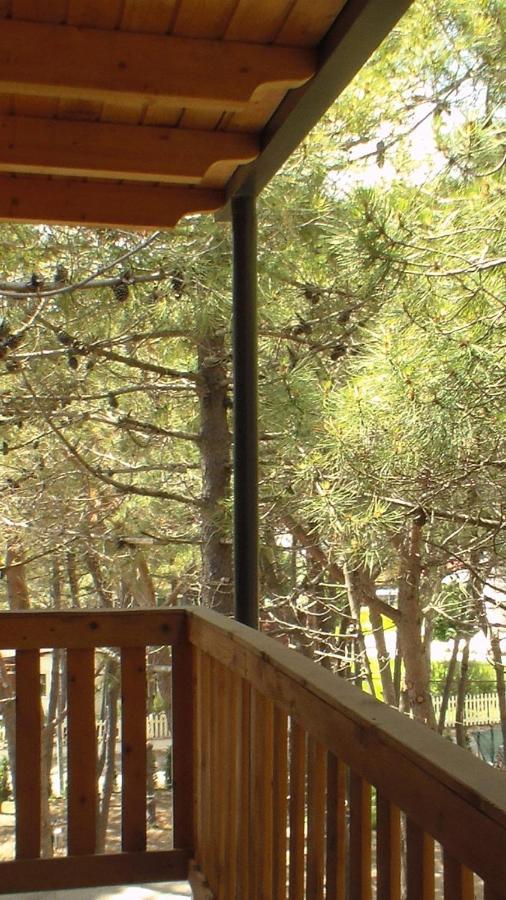 Hotel Temali 2 Velipojë Buitenkant foto