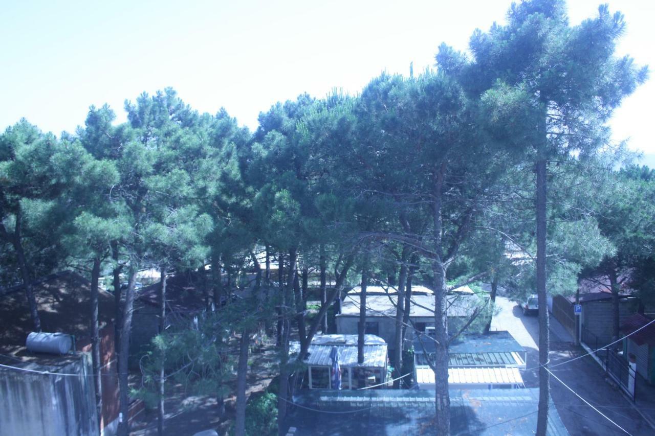 Hotel Temali 2 Velipojë Buitenkant foto